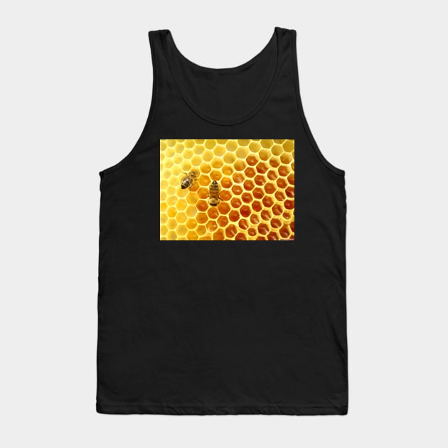 Honeycomb Tank Top by foxxya